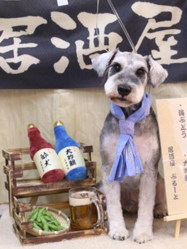 20240616バーツくん